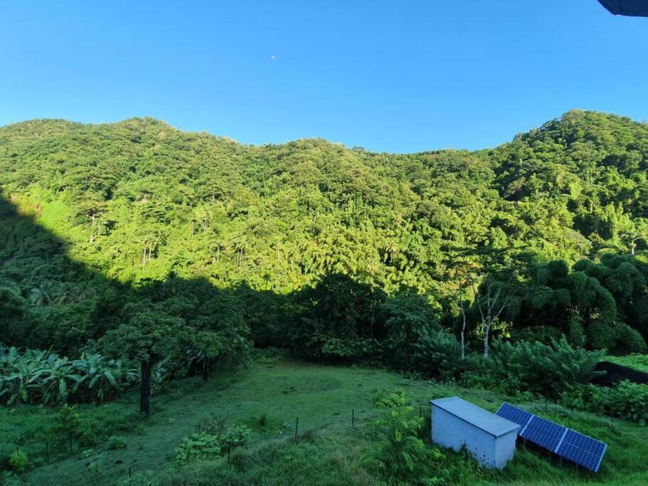 Spacieux Appartement A La Villa Montagne Le Carbet Ngoại thất bức ảnh